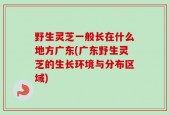 野生灵芝一般长在什么地方广东(广东野生灵芝的生长环境与分布区域)