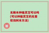 无断木种植灵芝可以吗(可以种植灵芝的无需砍伐树木方法)