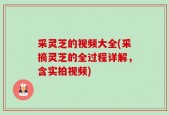 采灵芝的视频大全(采摘灵芝的全过程详解，含实拍视频)