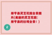 册亨县灵芝花园全景图片(美丽的灵芝花园：册亨县的壮观全景！)