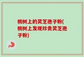 桃树上的灵芝孢子粉(桃树上发现珍贵灵芝孢子粉)