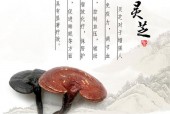 灵芝孢子粉能治疗癌症吗?灵芝孢子粉辅助治疗癌症