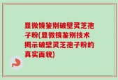显微镜鉴别破壁灵芝孢子粉(显微镜鉴别技术揭示破壁灵芝孢子粉的真实面貌)