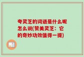 夸灵芝的词语是什么呢怎么说(赞美灵芝：它的奇妙功效值得一提)