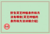 野生灵芝种植条件和方法有哪些(灵芝种植的条件和方法详细介绍)