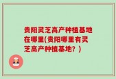 贵阳灵芝高产种植基地在哪里(贵阳哪里有灵芝高产种植基地？)