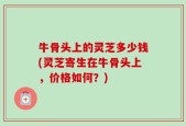 牛骨头上的灵芝多少钱(灵芝寄生在牛骨头上，价格如何？)