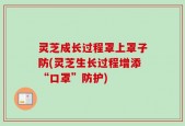 灵芝成长过程罩上罩子防(灵芝生长过程增添“口罩”防护)