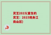 灵芝2815(重生的灵芝：2815现身江南山区)