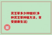 灵芝草多少种植好(多种灵芝草种植方法，享受健康生活)