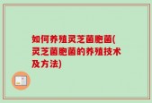 如何养殖灵芝菌胞菌(灵芝菌胞菌的养殖技术及方法)