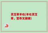 灵芝草羊吃(羊吃灵芝草，营养又健康)