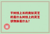干树枝上长的类似灵芝的是什么树枝上的灵芝状物体是什么？