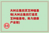 大树云集团灵芝种植基地(大树云集团打造灵芝种植基地，助力健康产业链)