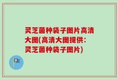 灵芝菌种袋子图片高清大图(高清大图提供：灵芝菌种袋子图片)