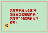 灵芝草宁波北仑区(宁波北仑区出现新药物“灵芝草”对疾病有治疗作用)