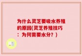 为什么灵芝要吸水养殖的原因(灵芝养殖技巧：为何需要水分？)