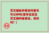 灵芝棚能种香菇吗春天可以种吗(春季适宜在灵芝棚种植香菇，真的吗？)