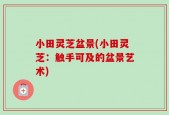小田灵芝盆景(小田灵芝：触手可及的盆景艺术)
