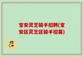 宝安灵芝骑手招聘(宝安区灵芝区骑手招募)