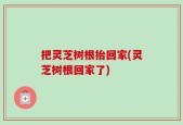 把灵芝树根抬回家(灵芝树根回家了)