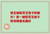 修正破壁灵芝孢子粉图片？紫一破壁灵芝孢子粉到哪里买最好