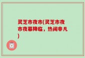 灵芝市夜市(灵芝市夜市夜幕降临，热闹非凡)