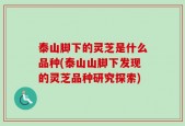 泰山脚下的灵芝是什么品种(泰山山脚下发现的灵芝品种研究探索)