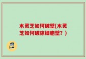 木灵芝如何破壁(木灵芝如何破除细胞壁？)