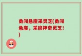 勇闯悬崖采灵芝(勇闯悬崖，采摘神奇灵芝！)