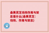 桑黄灵芝功效作用与禁忌是什么(桑黄灵芝：功效、作用与禁忌)