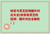 树舌与灵芝区别图片对比大全(树舌和灵芝的区别：图片对比全解析！)