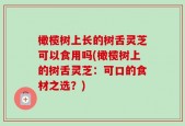 橄榄树上长的树舌灵芝可以食用吗(橄榄树上的树舌灵芝：可口的食材之选？)