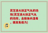 灵芝清火扶正气丸的功效(灵芝清火扶正气丸的功效，去除体内湿毒，提高免疫力)