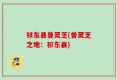 祁东县曾灵芝(曾灵芝之地：祁东县)