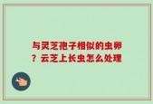 与灵芝孢子相似的虫卵？云芝上长虫怎么处理