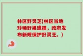 林区野灵芝(林区当地珍稀野果遭捕，政府发布新规保护野灵芝。)