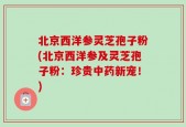 北京西洋参灵芝孢子粉(北京西洋参及灵芝孢子粉：珍贵中药新宠！)