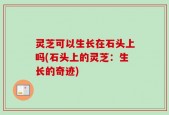 灵芝可以生长在石头上吗(石头上的灵芝：生长的奇迹)