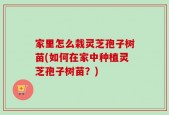 家里怎么栽灵芝孢子树苗(如何在家中种植灵芝孢子树苗？)
