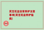 灵芝花盆日常养护注意事项(灵芝花盆养护指南)