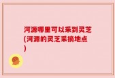 河源哪里可以采到灵芝(河源的灵芝采摘地点)