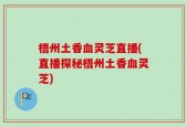 梧州土香血灵芝直播(直播探秘梧州土香血灵芝)