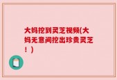 大妈挖到灵芝视频(大妈无意间挖出珍贵灵芝！)