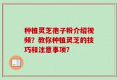 种植灵芝孢子粉介绍视频？教你种植灵芝的技巧和注意事项？