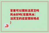 家里可以摆放活灵芝吗风水好吗(家居风水：活灵芝的适宜摆放地点)