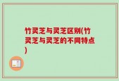 竹灵芝与灵芝区别(竹灵芝与灵芝的不同特点)