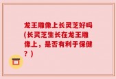 龙王雕像上长灵芝好吗(长灵芝生长在龙王雕像上，是否有利于保健？)