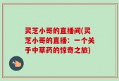 灵芝小哥的直播间(灵芝小哥的直播：一个关于中草药的惊奇之旅)