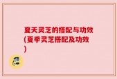 夏天灵芝的搭配与功效(夏季灵芝搭配及功效)
